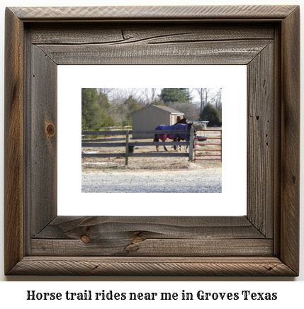 horse trail rides near me in Groves, Texas